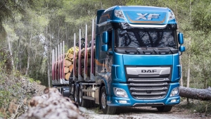 Cinchas TRP para amarre de carga en camión