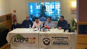 Plataforma para la Defensa del Sector del Transporte de Mercancías por Carretera